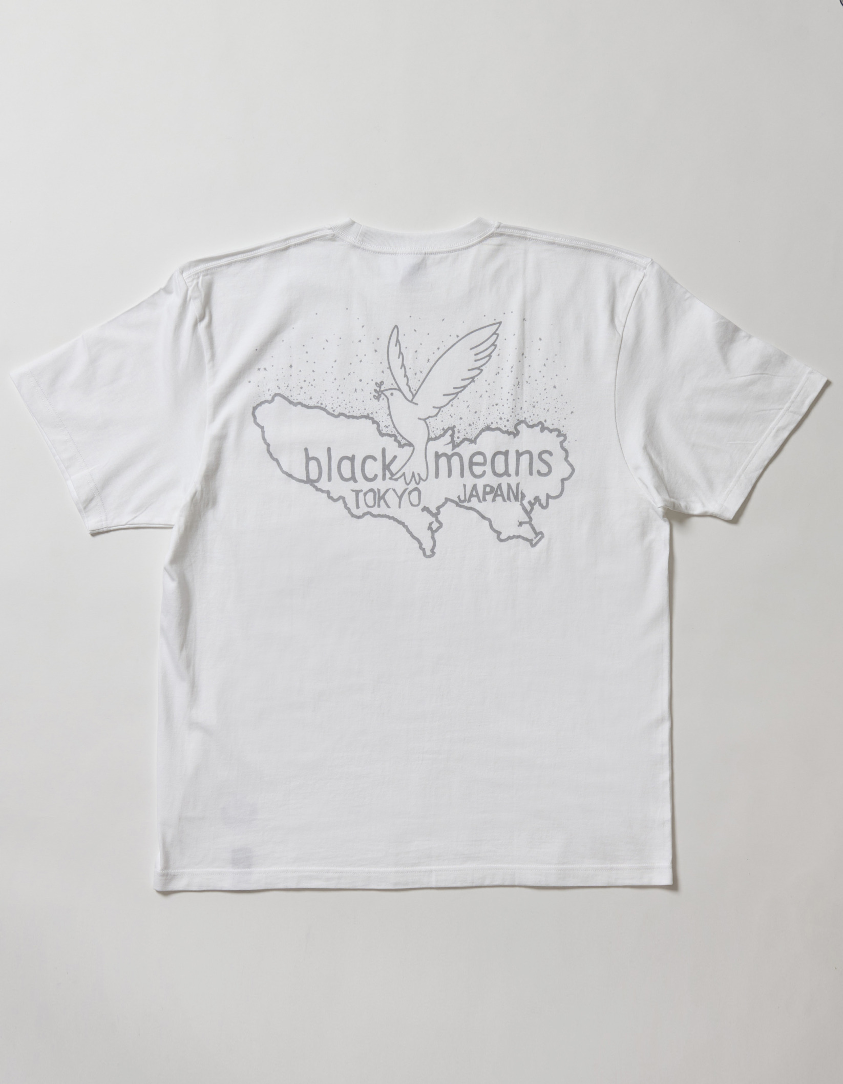 Doves and Starry Sky　S/S Tshirts